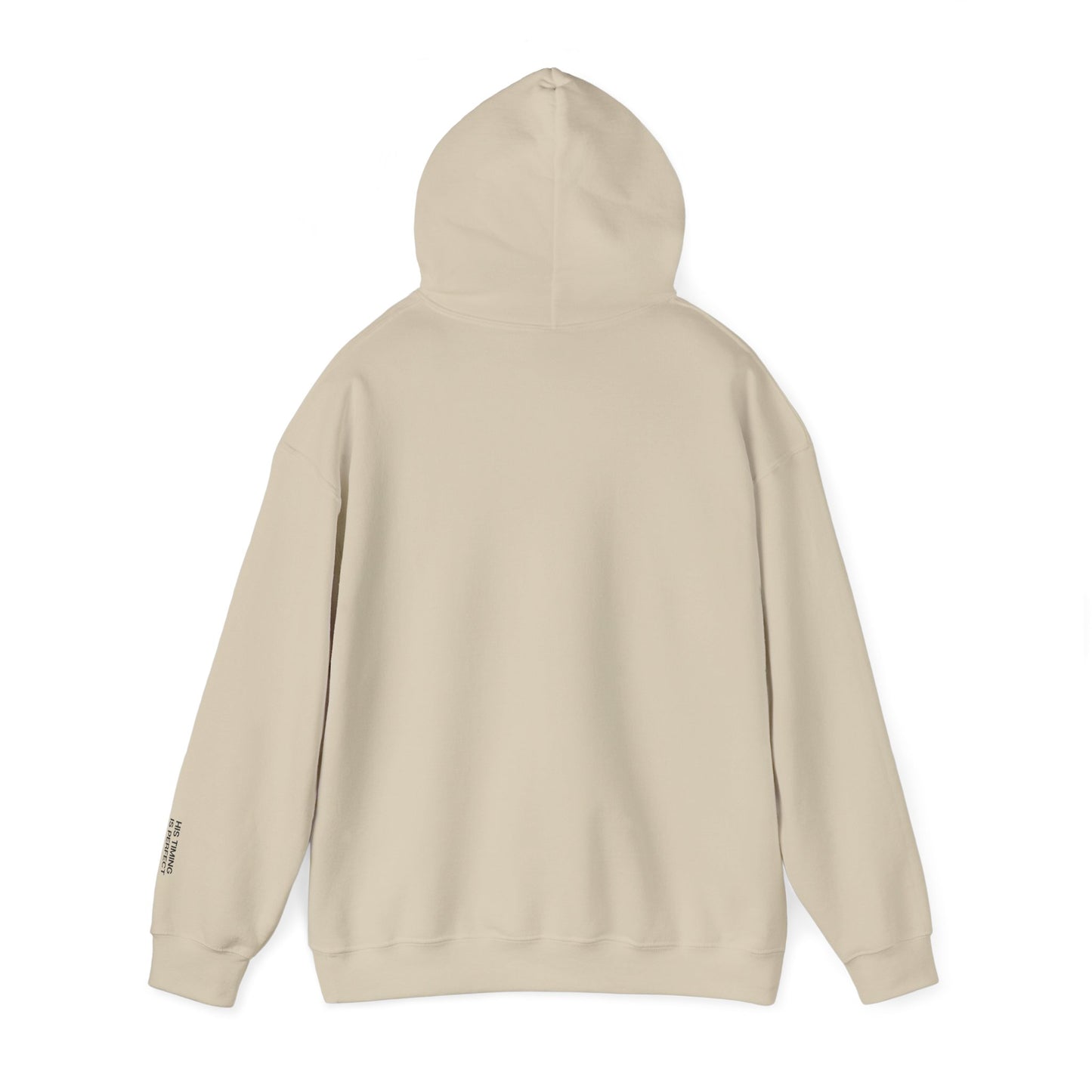 GOD'S PLAN Hoodie (SAND)